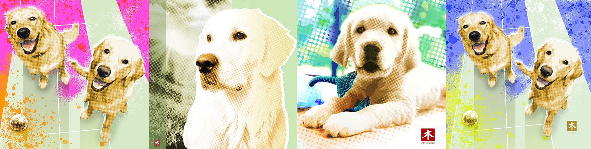 Compilation of adorable pet portraits