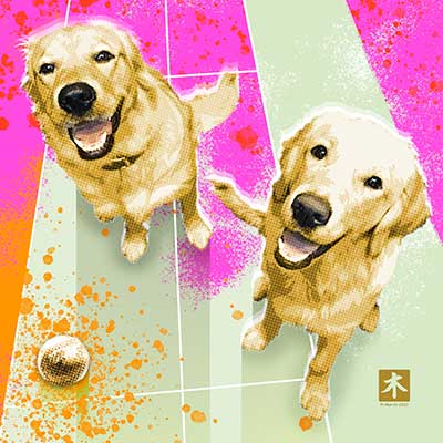 Blue-Milly | Labradour.