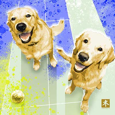 Blue-Milly | Labradour.